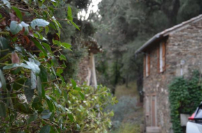 GITE ANANDA LES HAUTS DE LA MALIERE